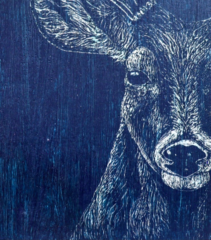 Venado Azul